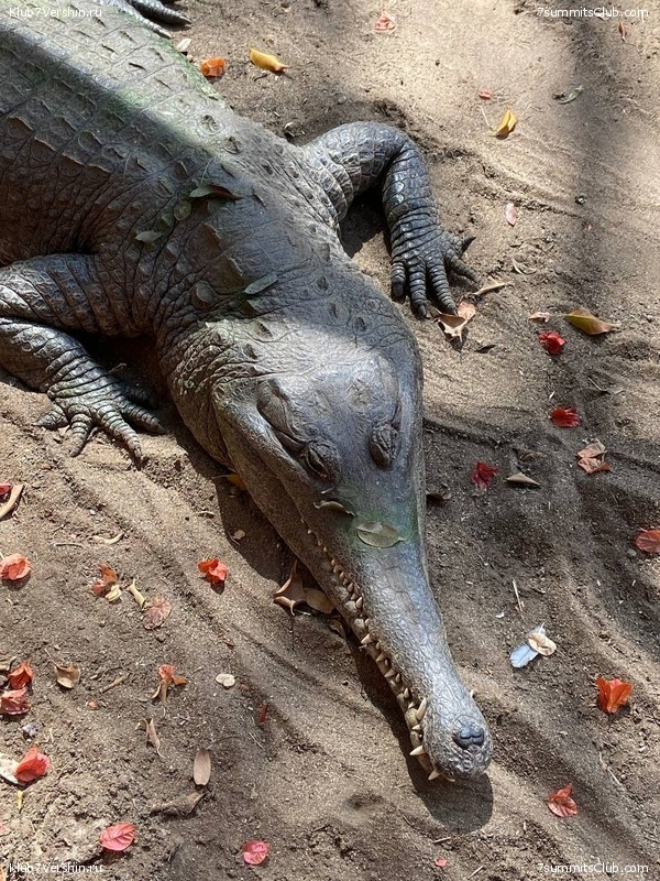 ������������ 2022, ������. �. ������� - �. ������, ���� 42