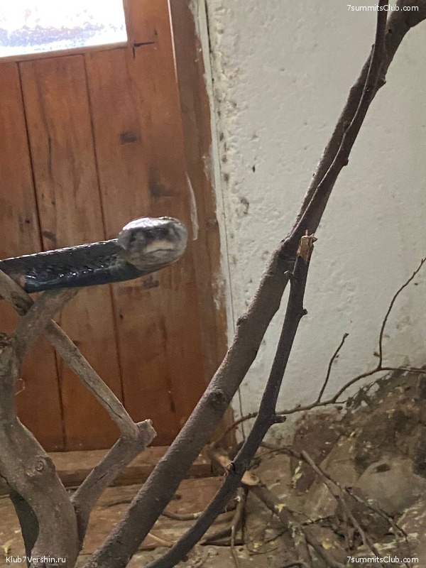 ������������ 2022, ������. �. ������� - �. ������, ���� 43