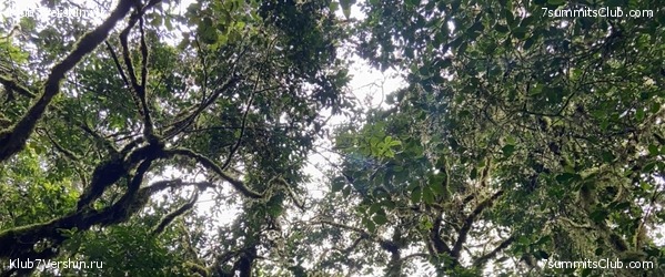 ������������ 2022, ������. �. ������� - �. ������, ���� 2