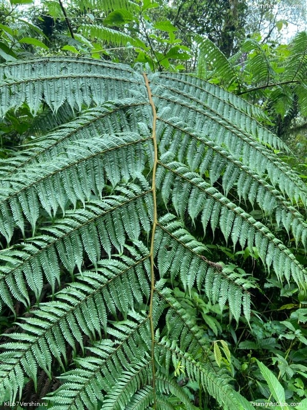 ������������ 2022, ������. �. ������� - �. ������, ���� 56