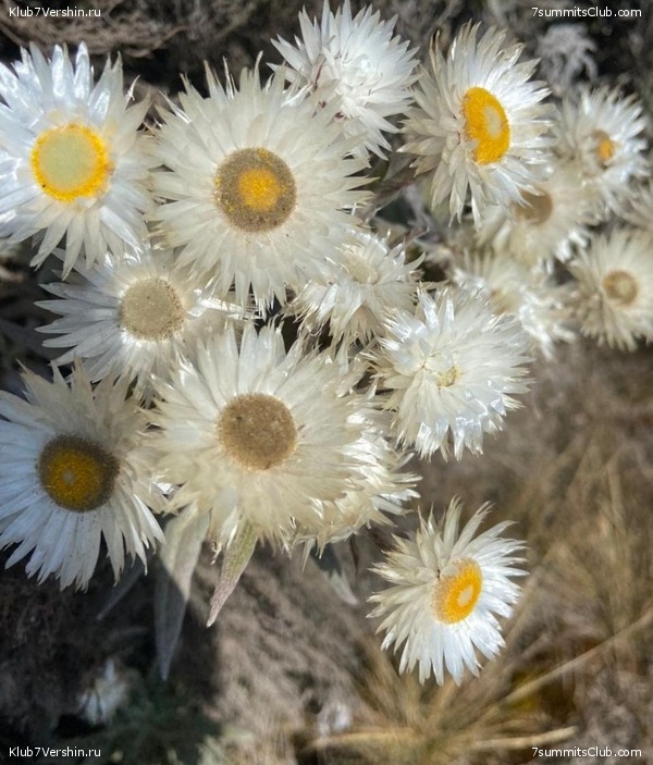 ������������ 2022, ������. �. ������� - �. ������, ���� 32