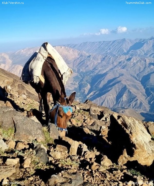 �������� 2022, ������. ������� ��������, ���� 47