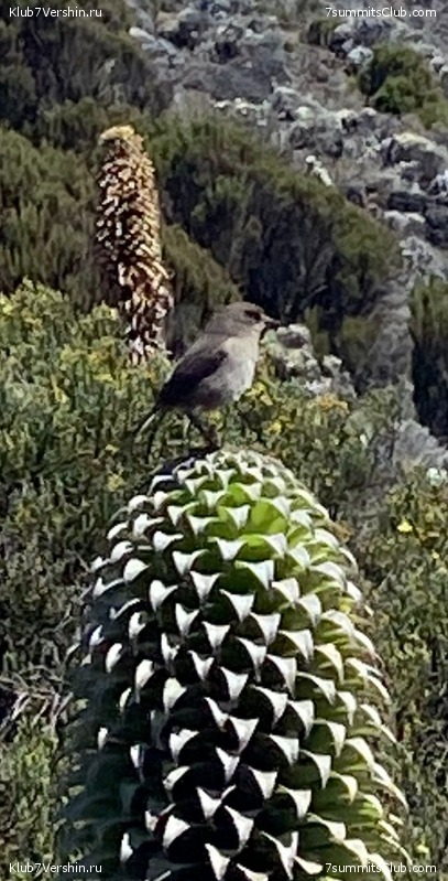 ������������ 2022, ������. �. ������� - �. ������, ���� 58