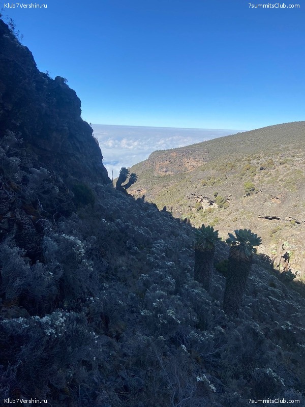 ������������ 2022, ������. �. ������� - �. ������, ���� 48