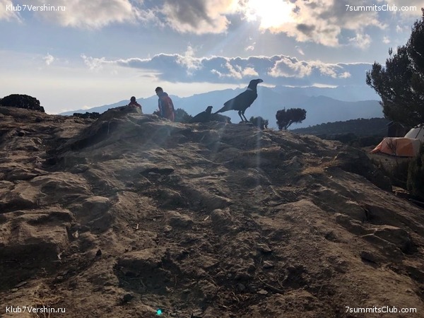  2022, . .  - . ,  16