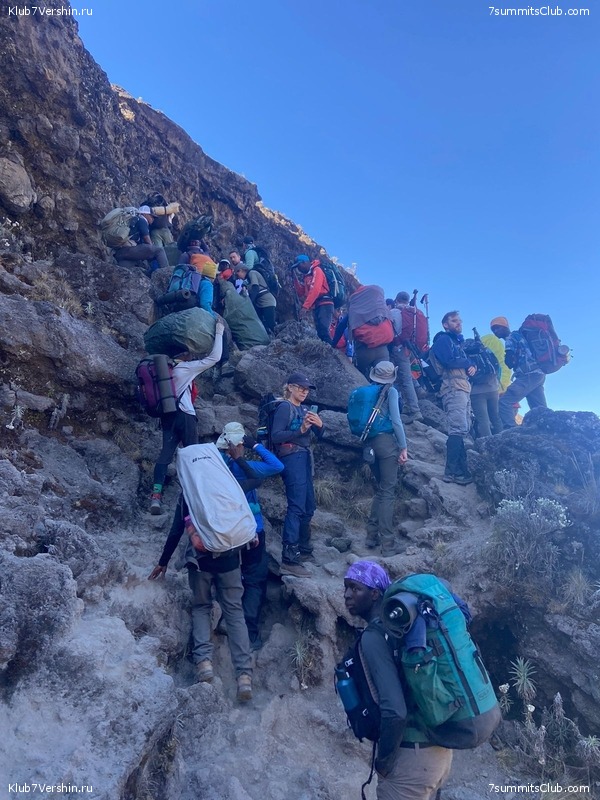 ������������ 2022, ������. �. ������� - �. ������, ���� 49