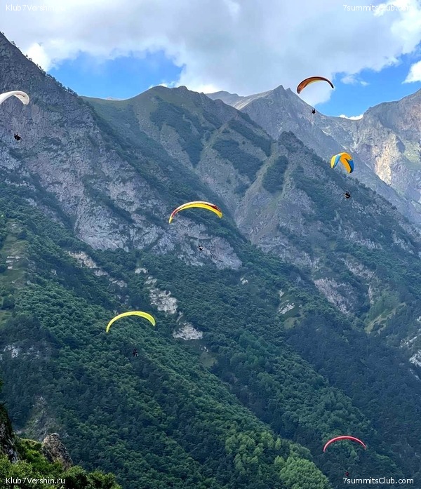 ������� 2022. ������, ���� 217