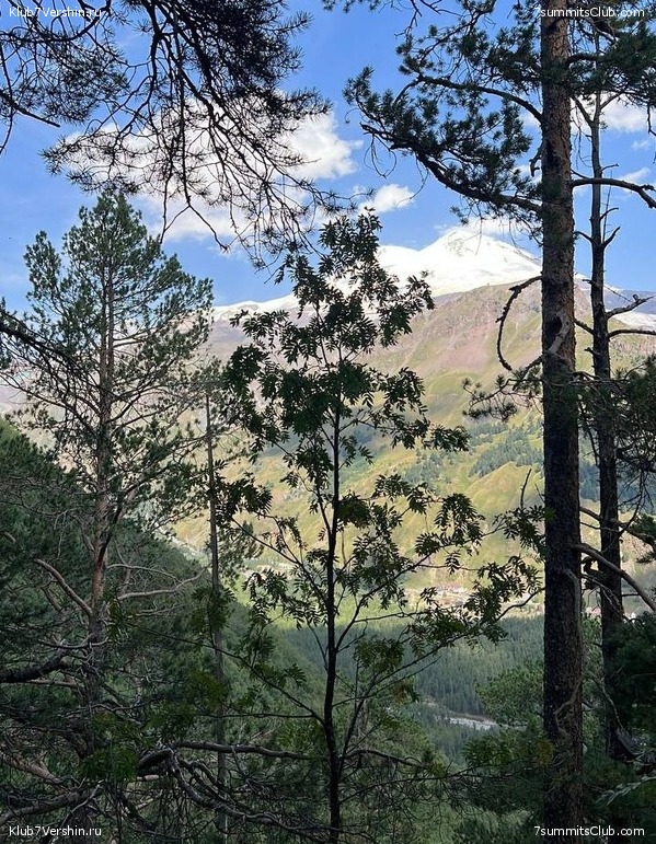 ������� 2022. ������, ���� 241