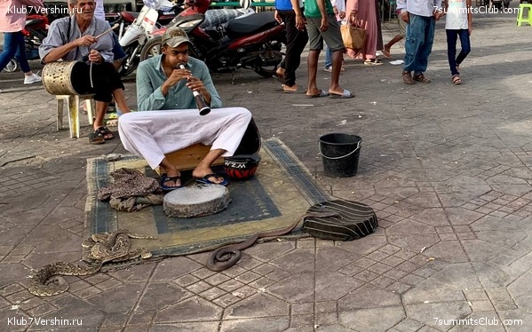 �������. ������ 2022 ����. ��� ���������, ���� 21