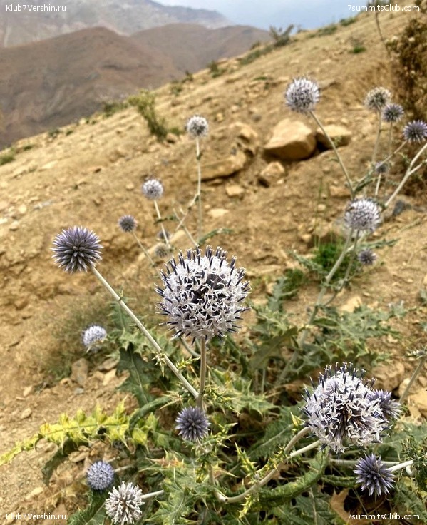 �������� 2022. ������ Ը���� ��������, ���� 123