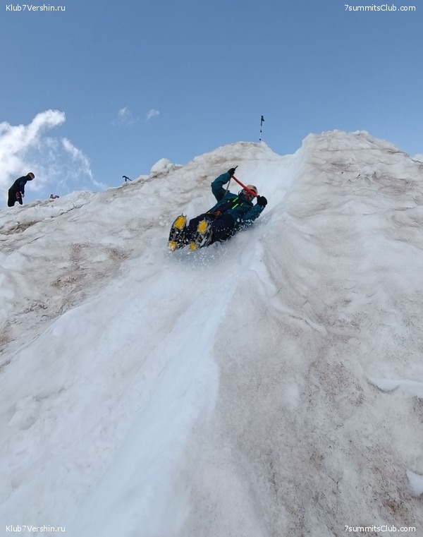 ������� 2022. ������, ���� 239