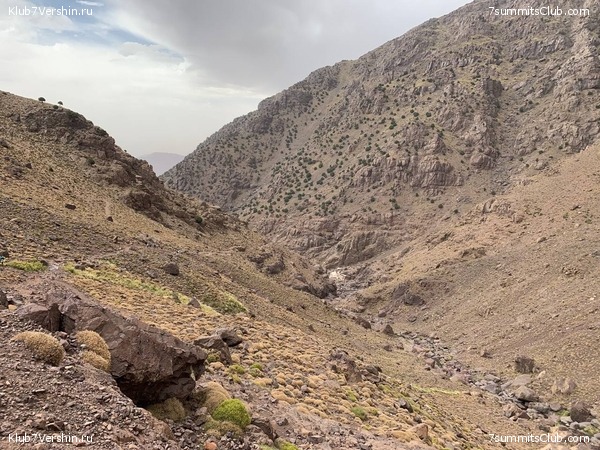 �������. ������ 2022 ����. ��� ���������, ���� 65