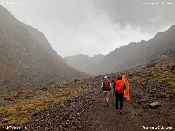 �������. ������ 2022 ����. ��� ���������, ���� 68