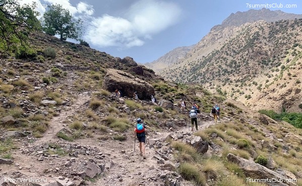 �������. ������ 2022 ����. ��� ���������, ���� 19