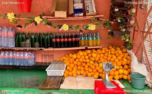 �������. ������ 2022 ����. ��� ���������, ���� 22