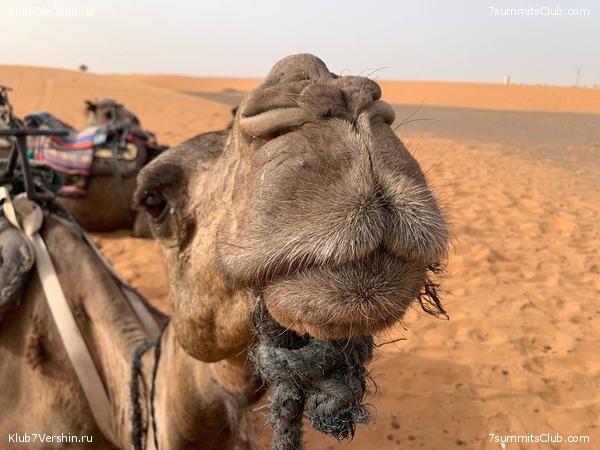 �������. ������ 2022 ����. ��� ���������, ���� 95