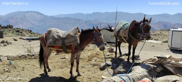 �������� 2022. ������ Ը���� ��������, ���� 10