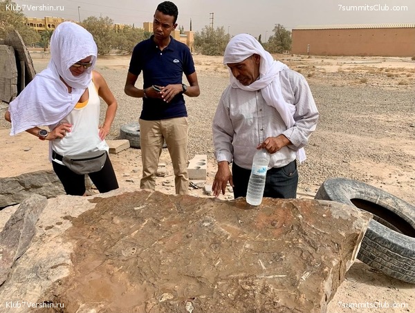 �������. ������ 2022 ����. ��� ���������, ���� 112