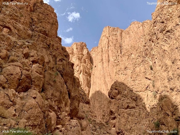 �������. ������ 2022 ����. ��� ���������, ���� 97