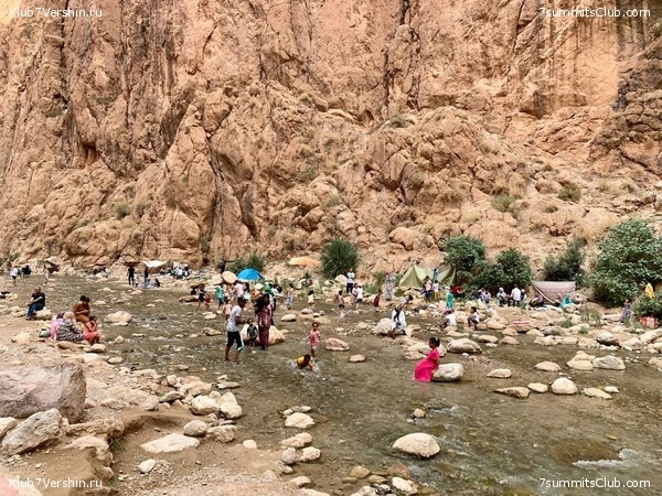 �������. ������ 2022 ����. ��� ���������, ���� 100