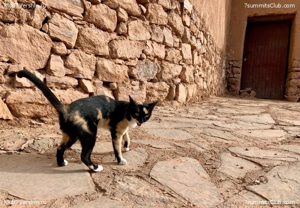 �������. ������ 2022 ����. ��� ���������, ���� 49