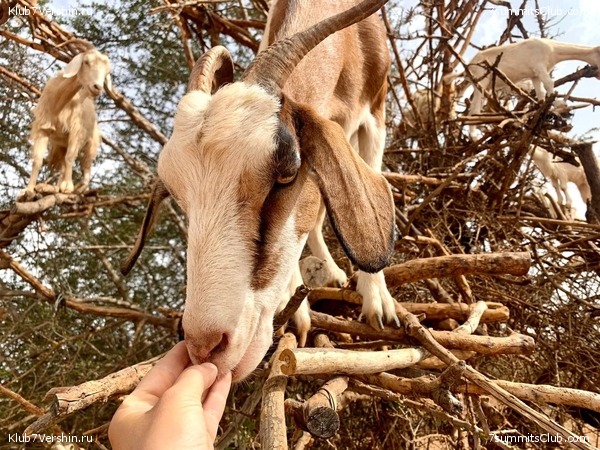 �������. ������ 2022 ����. ��� ���������, ���� 108