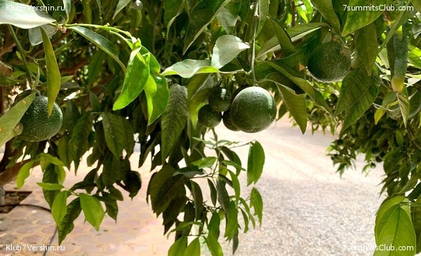 �������. ������ 2022 ����. ��� ���������, ���� 13