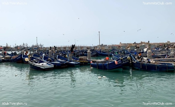 �������. ������ 2022 ����. ��� ���������, ���� 18