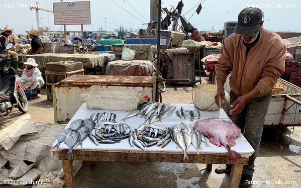 �������. ������ 2022 ����. ��� ���������, ���� 23