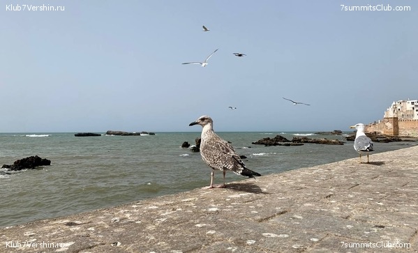 �������. ������ 2022 ����. ��� ���������, ���� 14