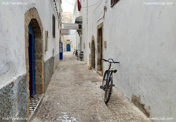 �������. ������ 2022 ����. ��� ���������, ���� 50