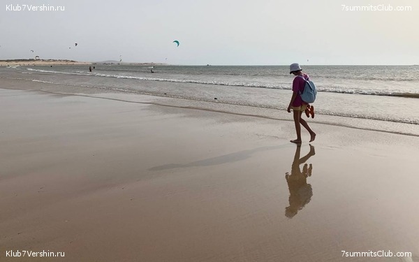 �������. ������ 2022 ����. ��� ���������, ���� 26