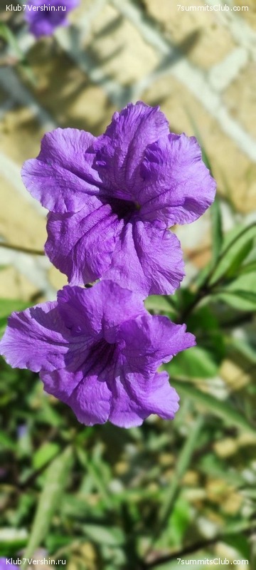 �������� 2022. ������ Ը���� ��������, ���� 198