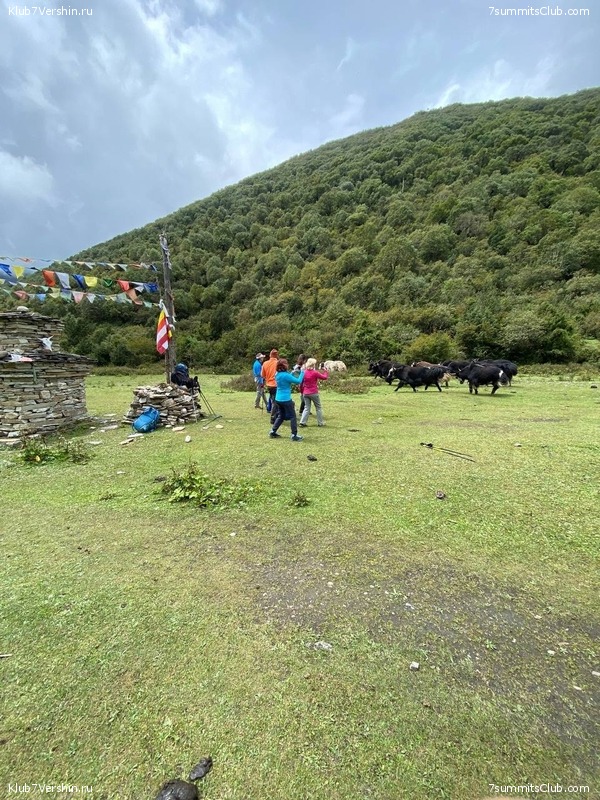 ������� 2022. ������ �����, ���� 94