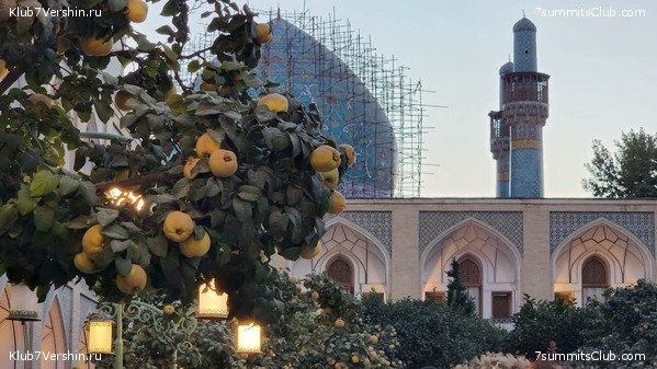 �������� � ����. 2022. �����: ������ ����������, ���� 14