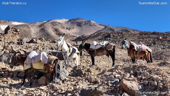 �������� � ����. 2022. �����: ������ ����������, ���� 17