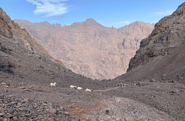 ������� �������. ����� ����������, ���� 15