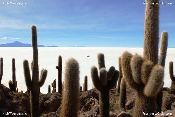 �������. ������� �� ����� ����������, ���� 29