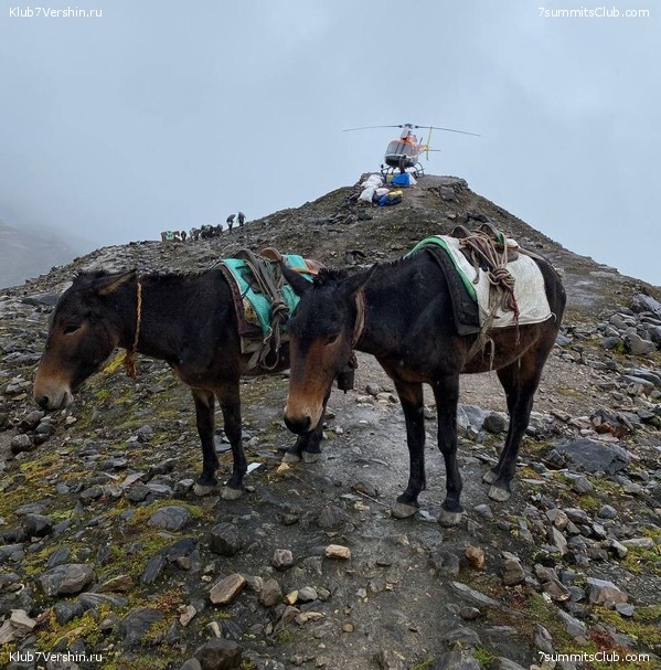 ������� 2022. ������ �����, ���� 65