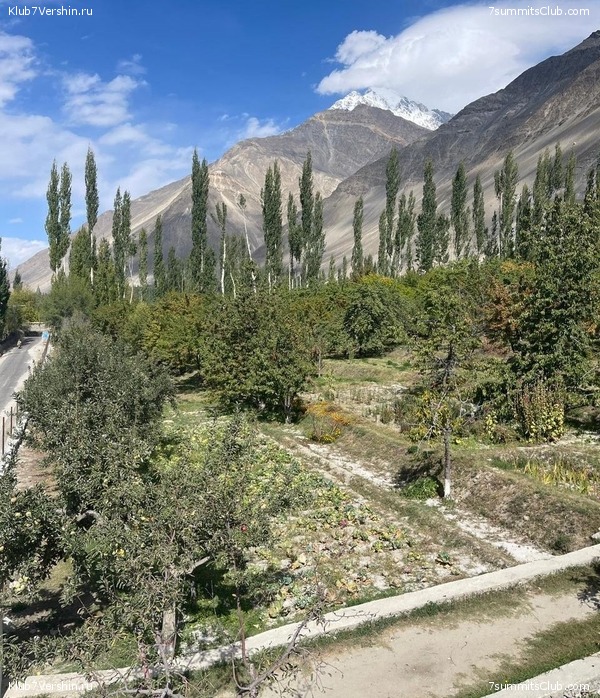 �������� 2022. ������� - ��������� ���, ���� 124