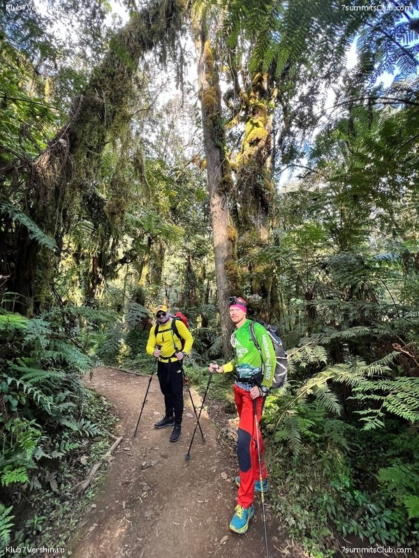 ������������ 2022. �������. ��������� ���������, ���� 82