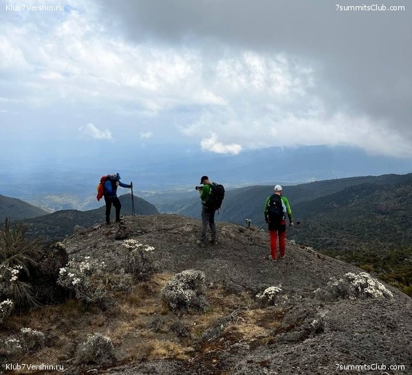 ������������ 2022. �������. ��������� ���������, ���� 52