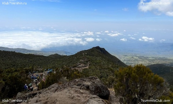 ������������ 2022. �������. ��������� ���������, ���� 12