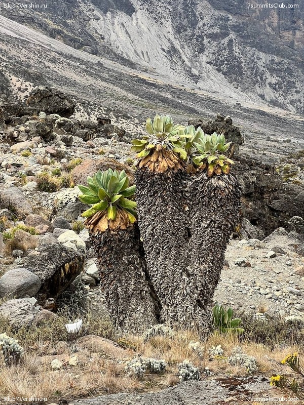 ������������ 2022. �������. ��������� ���������, ���� 86