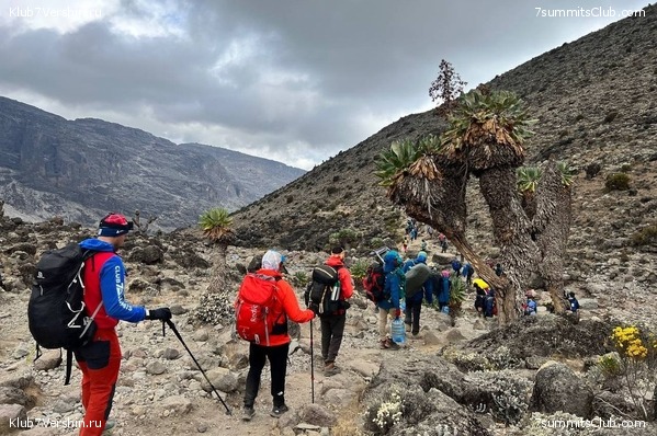 ������������ 2022. �������. ��������� ���������, ���� 25