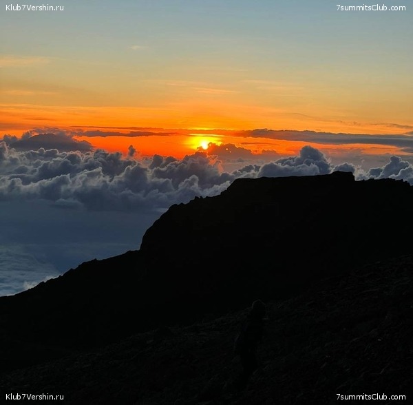 ������������ 2022. �������. ��������� ���������, ���� 55