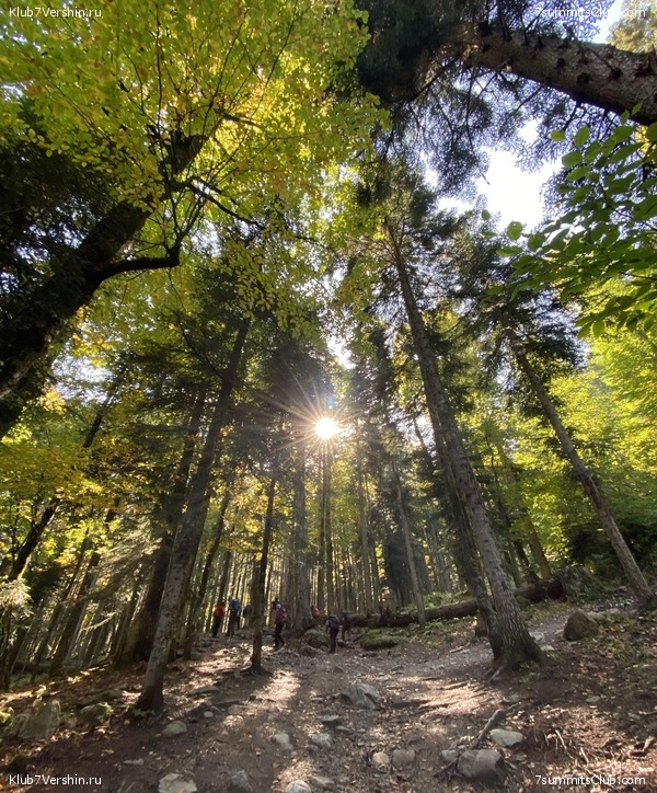 ������������� ����� ����� 7 ������ � �����, ���� 110