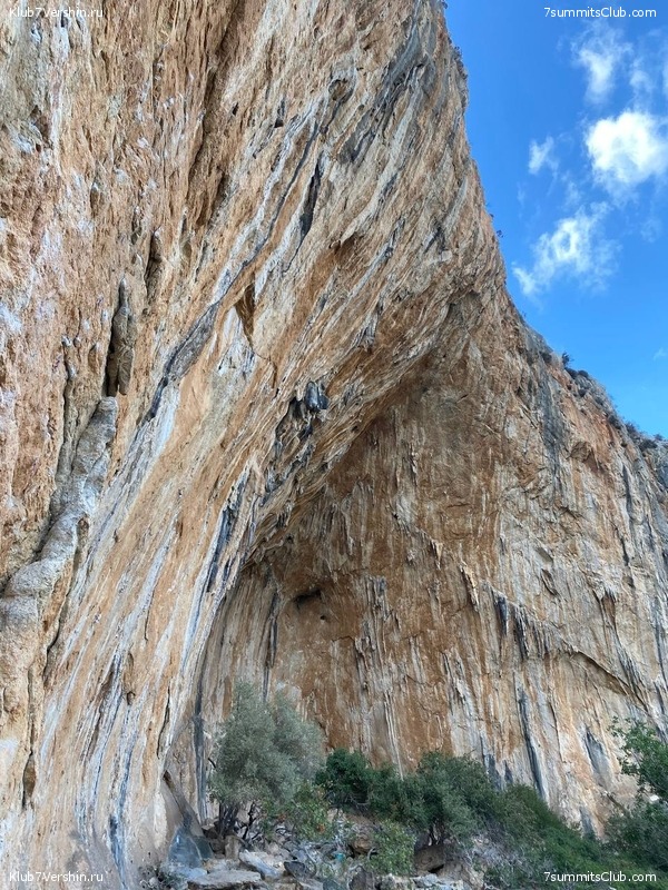 ����� ������. ������� 2022 ����, ���� 45