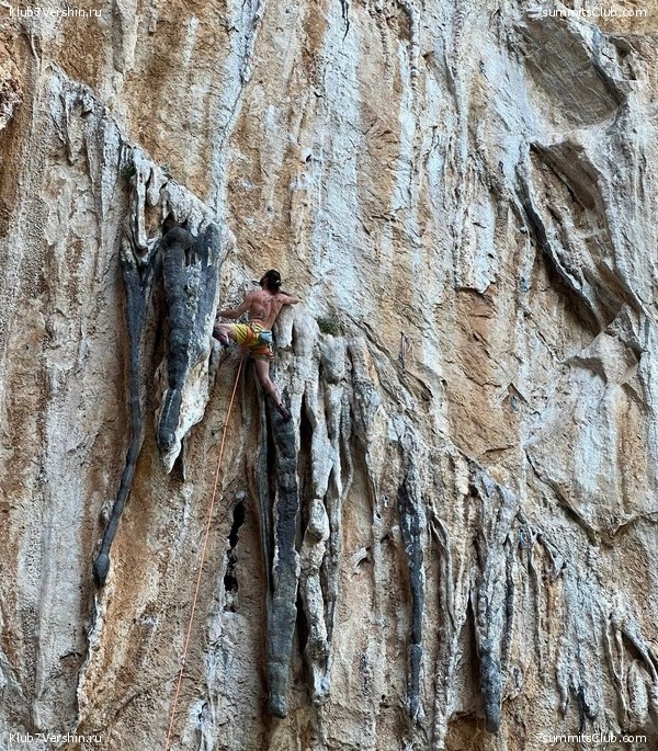 ����� ������. ������� 2022 ����, ���� 26