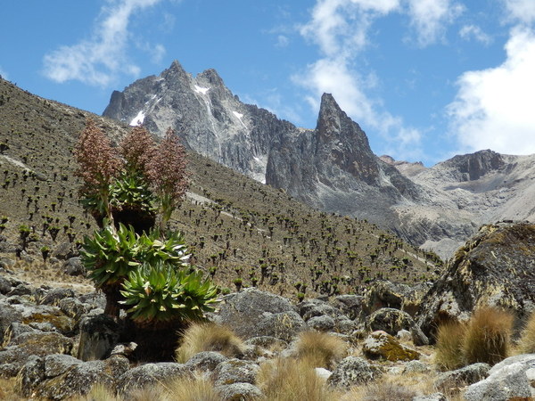 ������� �����